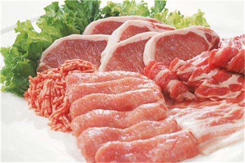 肉类水分快速测试仪